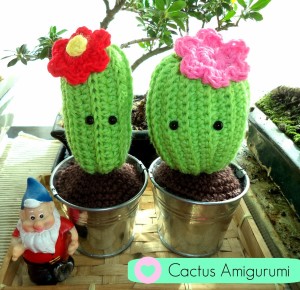 Cactus de amigurumi