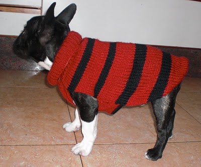Abrigo de perro a crochet tejido en dos agujas